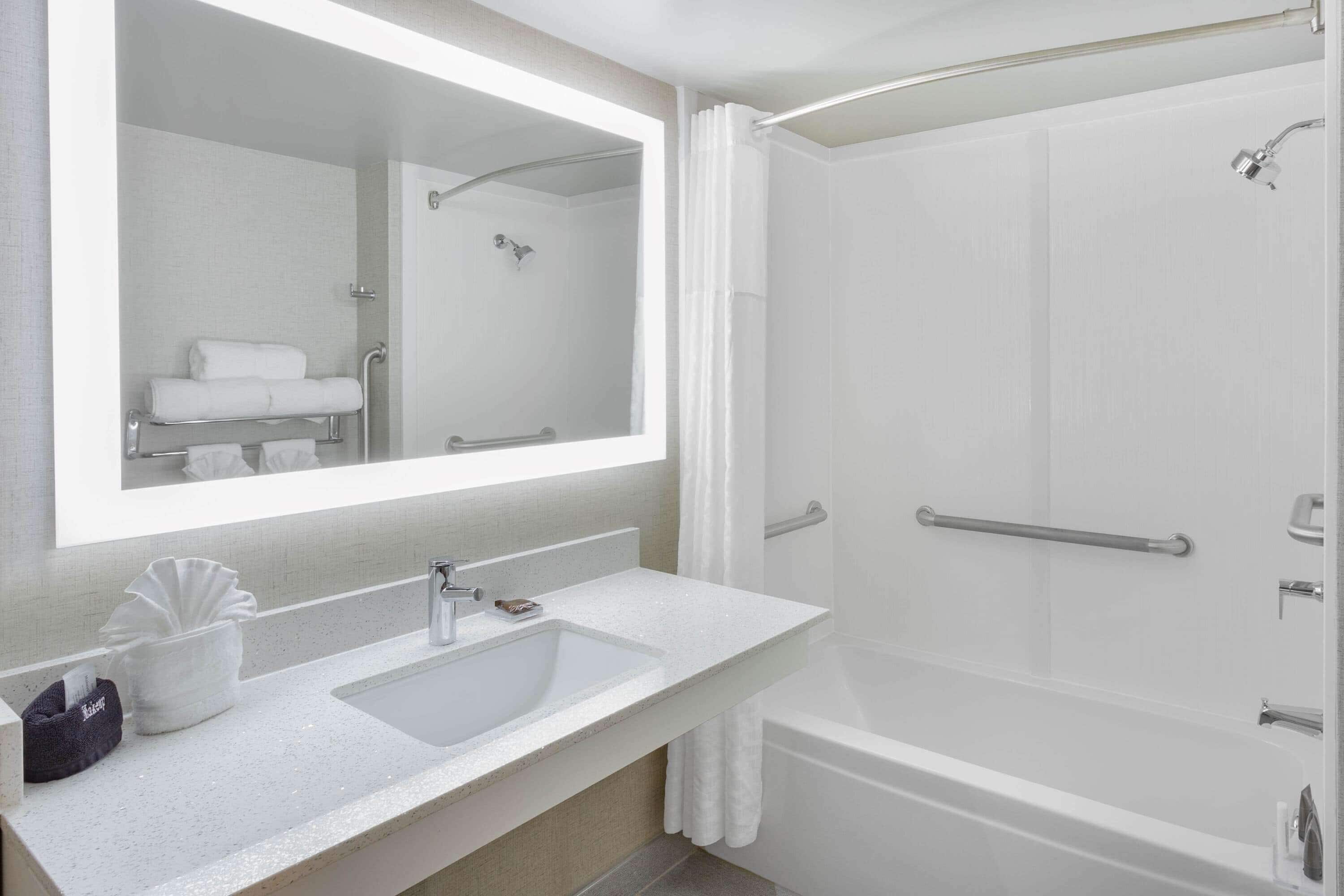 standard room, 1 king bed, accessible | accessible bathroom