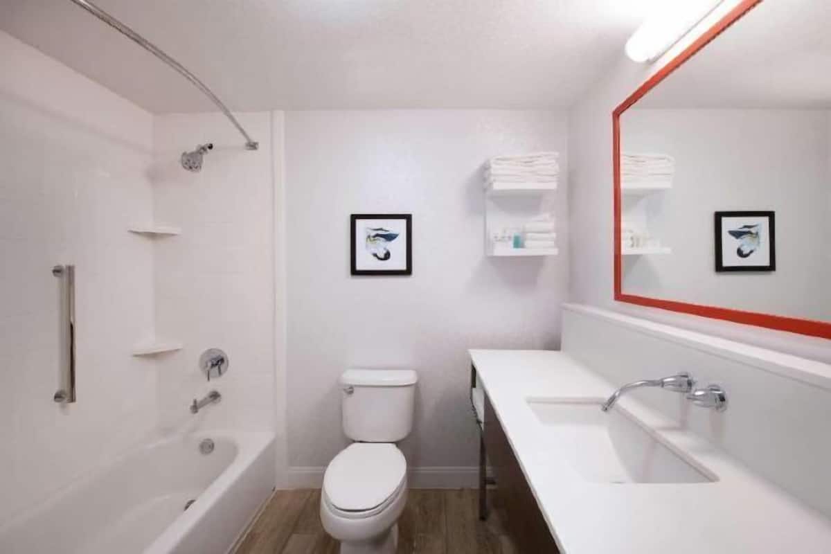 Ensemble baignoire-douche, articles de toilette écologiques