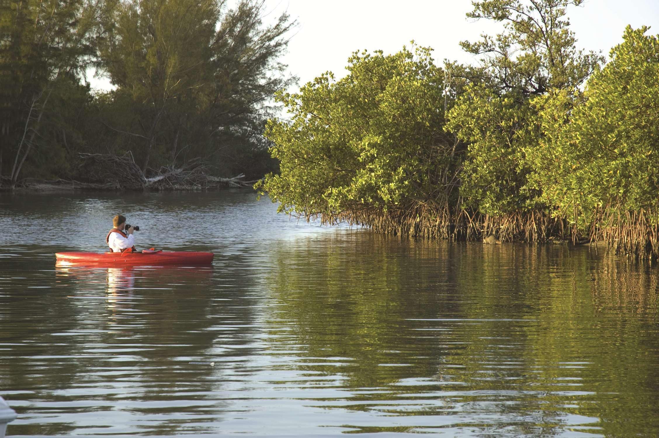 1 bedroom, premium bedding, in-room safe, desk