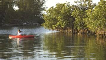A person in a red kayak on calm water with dense vegetation on the banks.