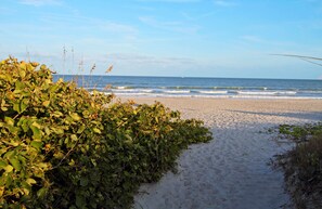 A sandy beach with dense green foliage in the foreground. - Hampton Inn Cocoa Beach/Cape Canaveral (Cocoa Beach)