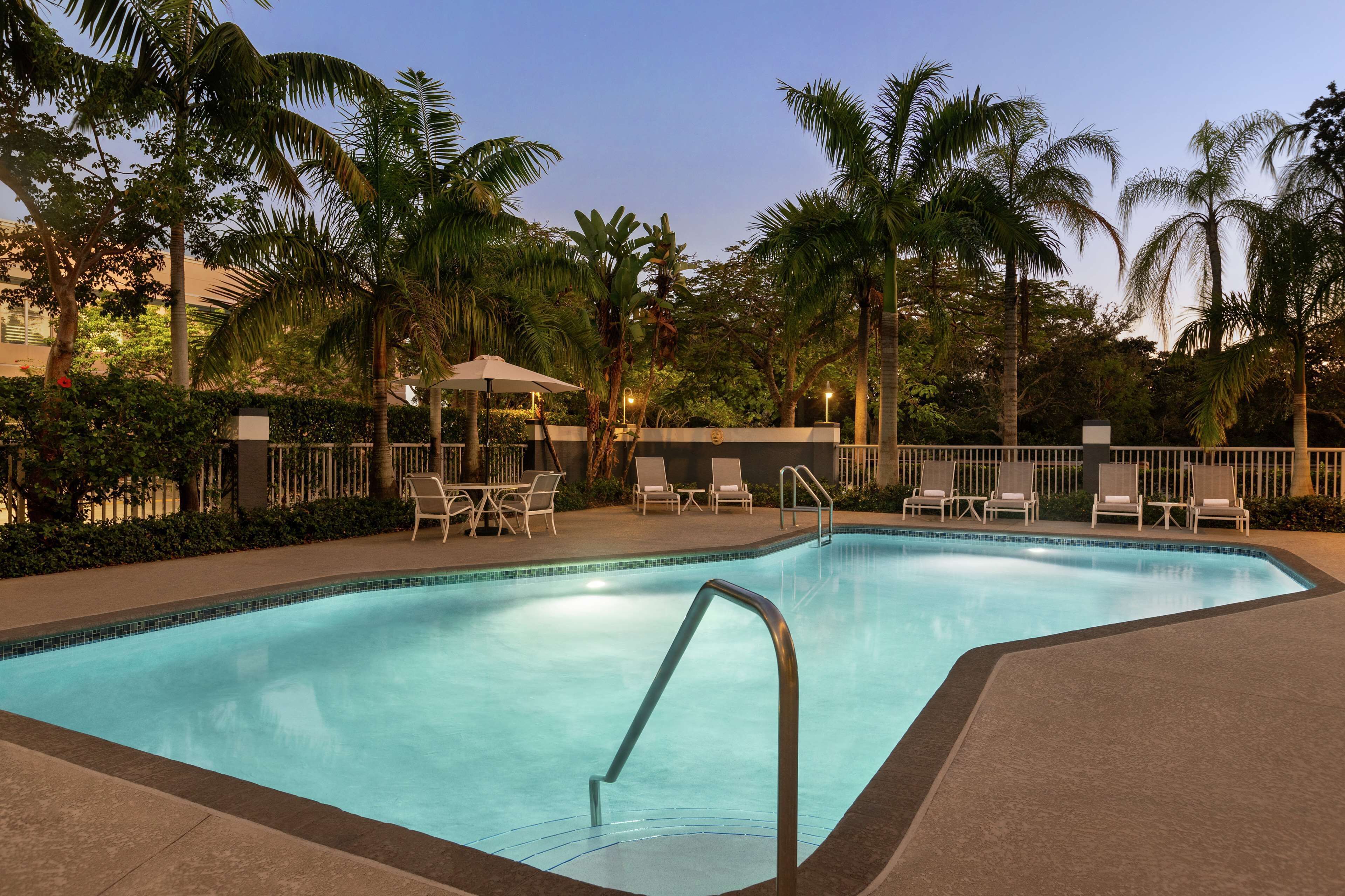 A rectangular swimming pool with a metal ladder, surrounded by palm trees and lounge chairs.