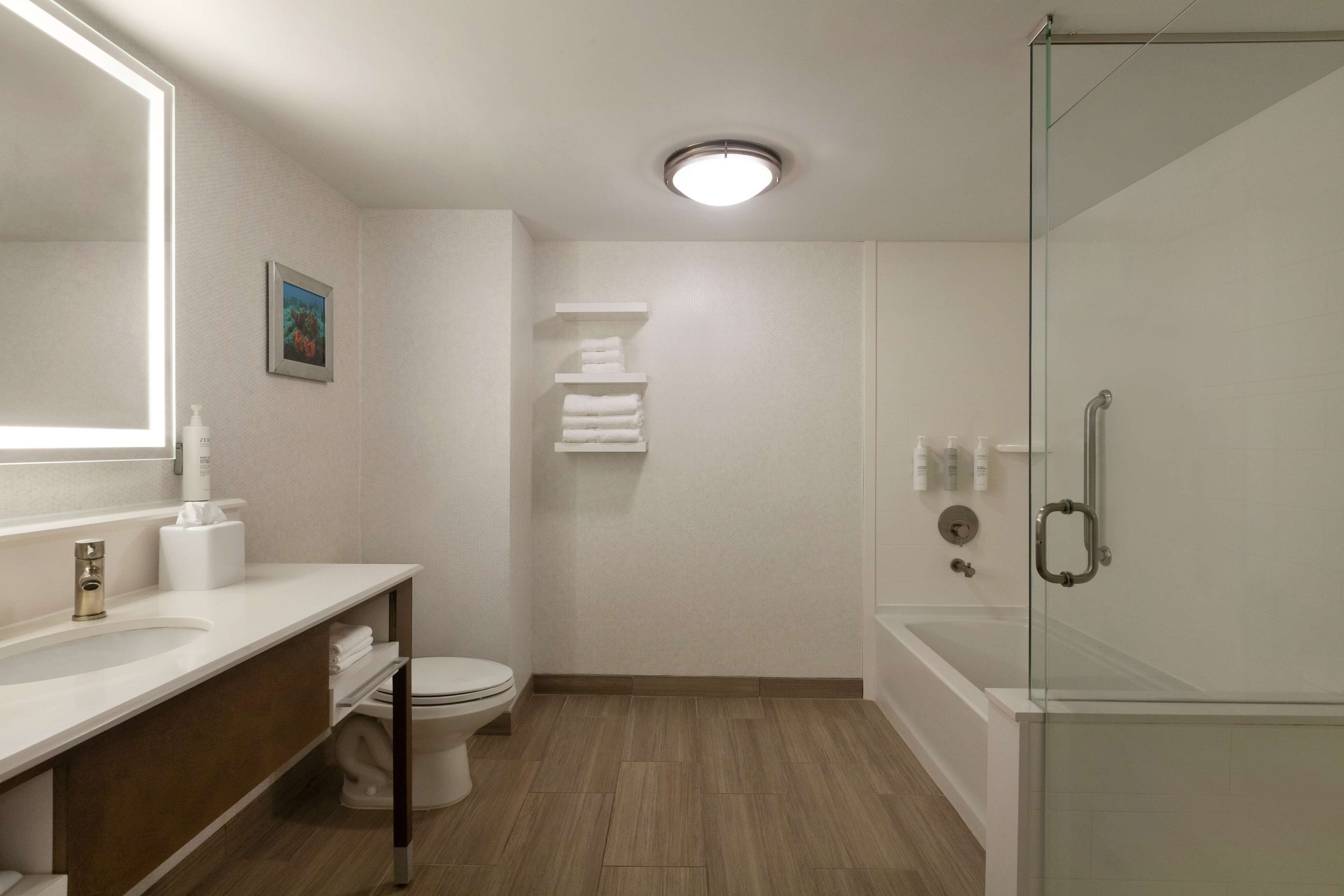 room, 1 king bed (walk-in shower) | bathroom | free toiletries, hair dryer, towels