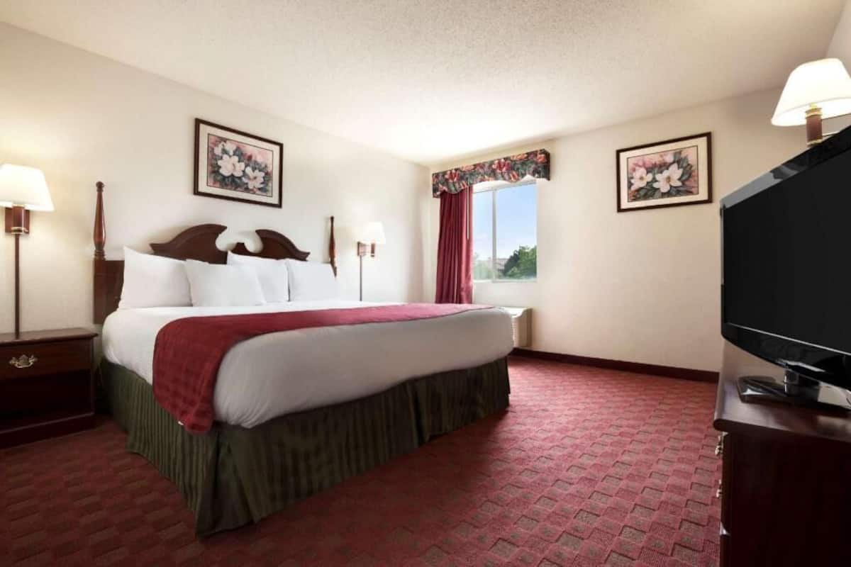 A hotel room with a bed, a television, two wall-mounted lamps, a window with a view, and two framed floral pictures.