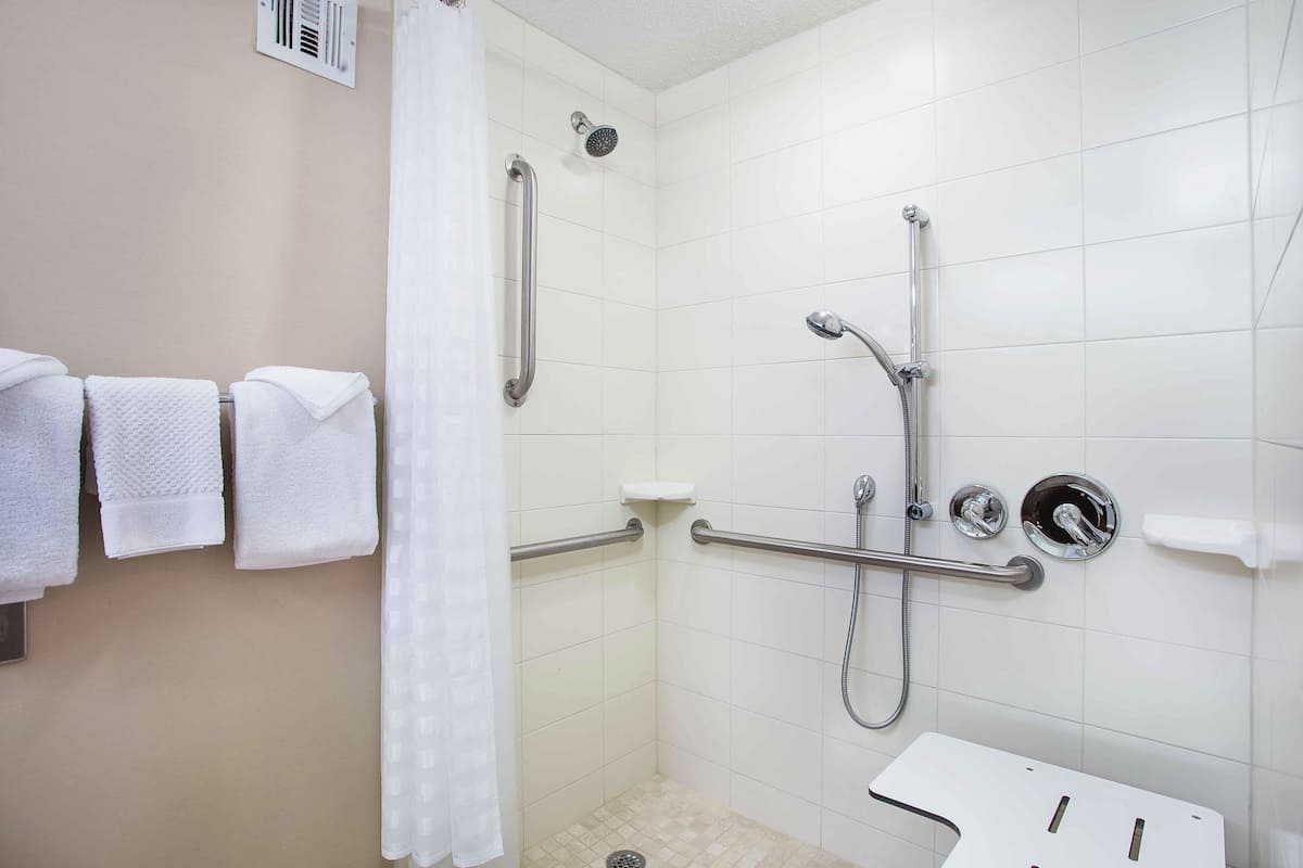 Tina con regadera, amenidades de baño de diseñador, secadora de cabello