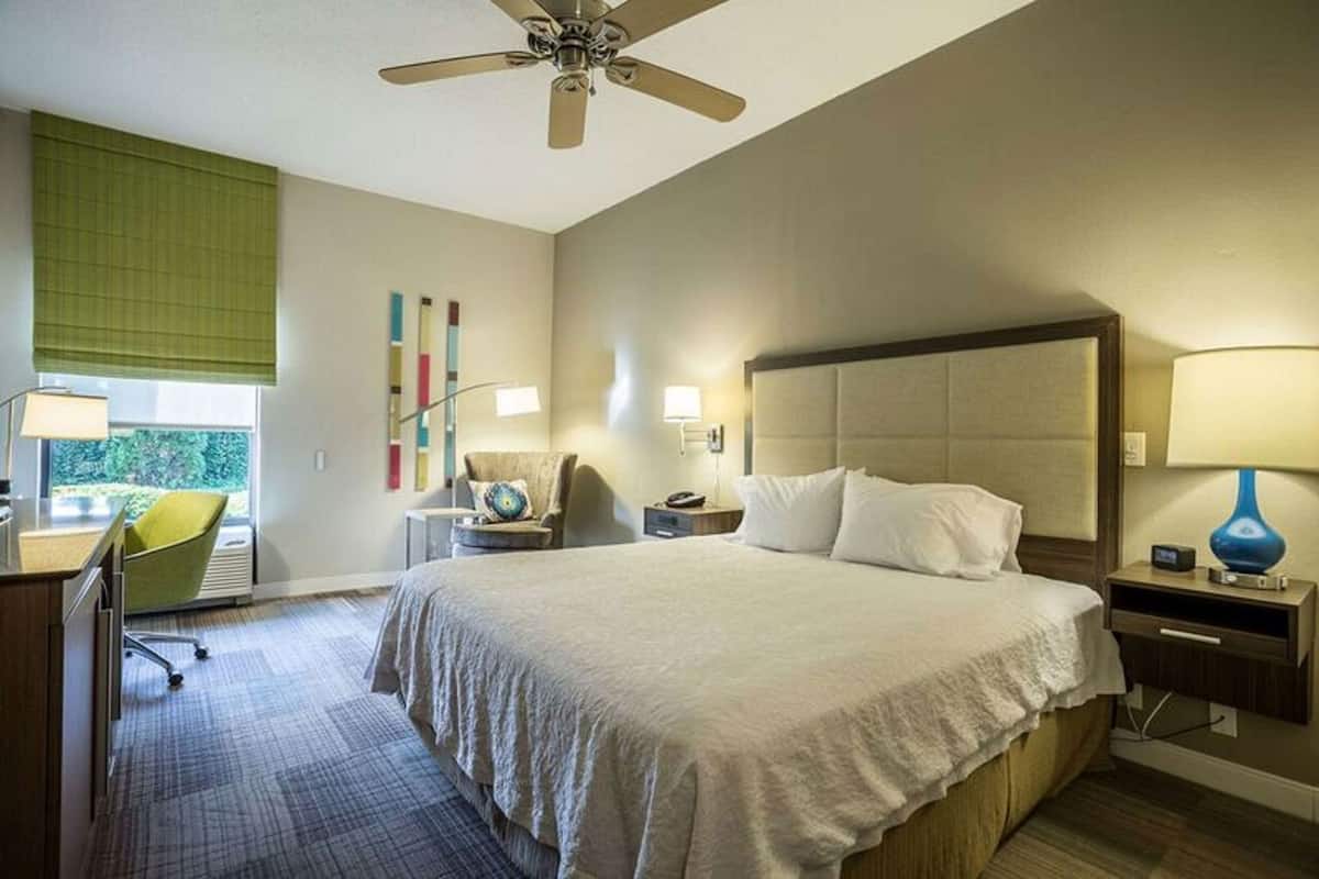 Blackout drapes, soundproofing, iron/ironing board