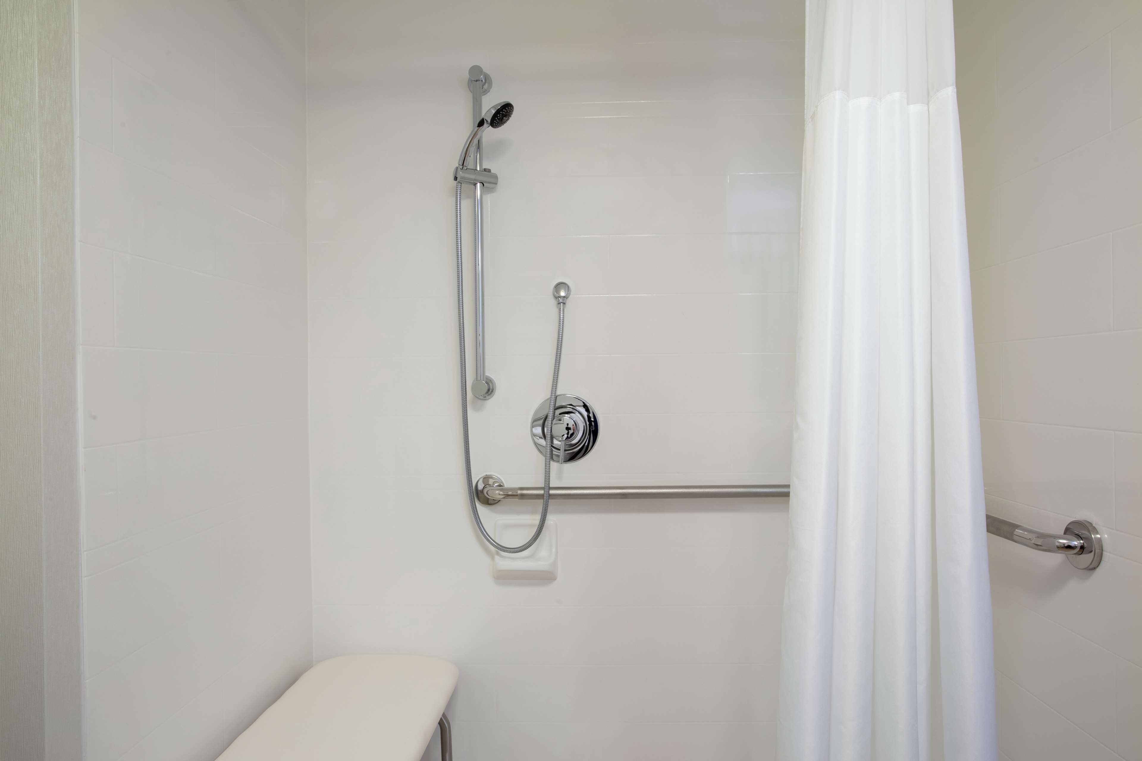 room, 1 king bed, accessible, non smoking (roll-in shower) | bathroom shower