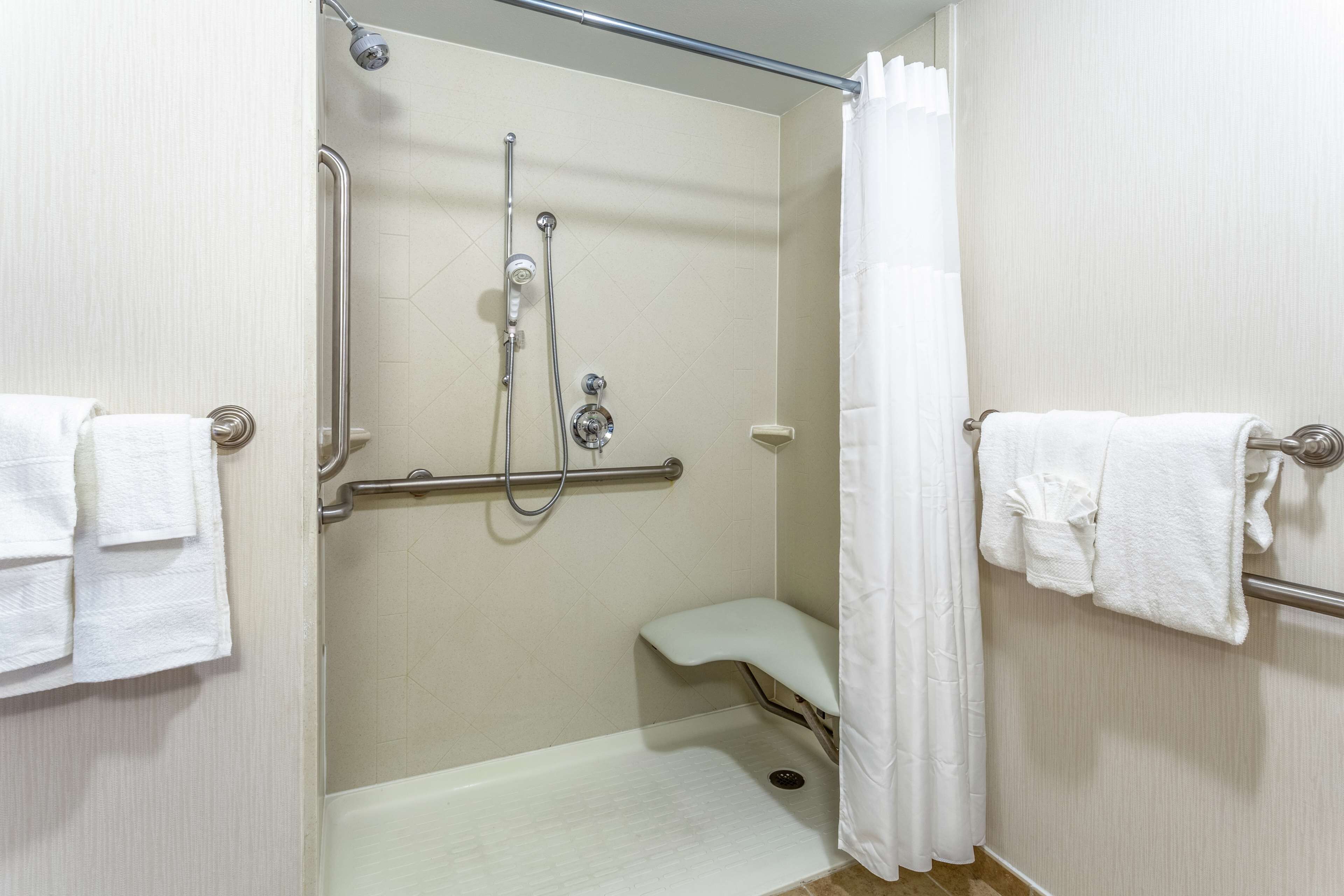 room, 1 king bed, accessible, non smoking (roll-in shower, mobility & hearing) | bathroom shower