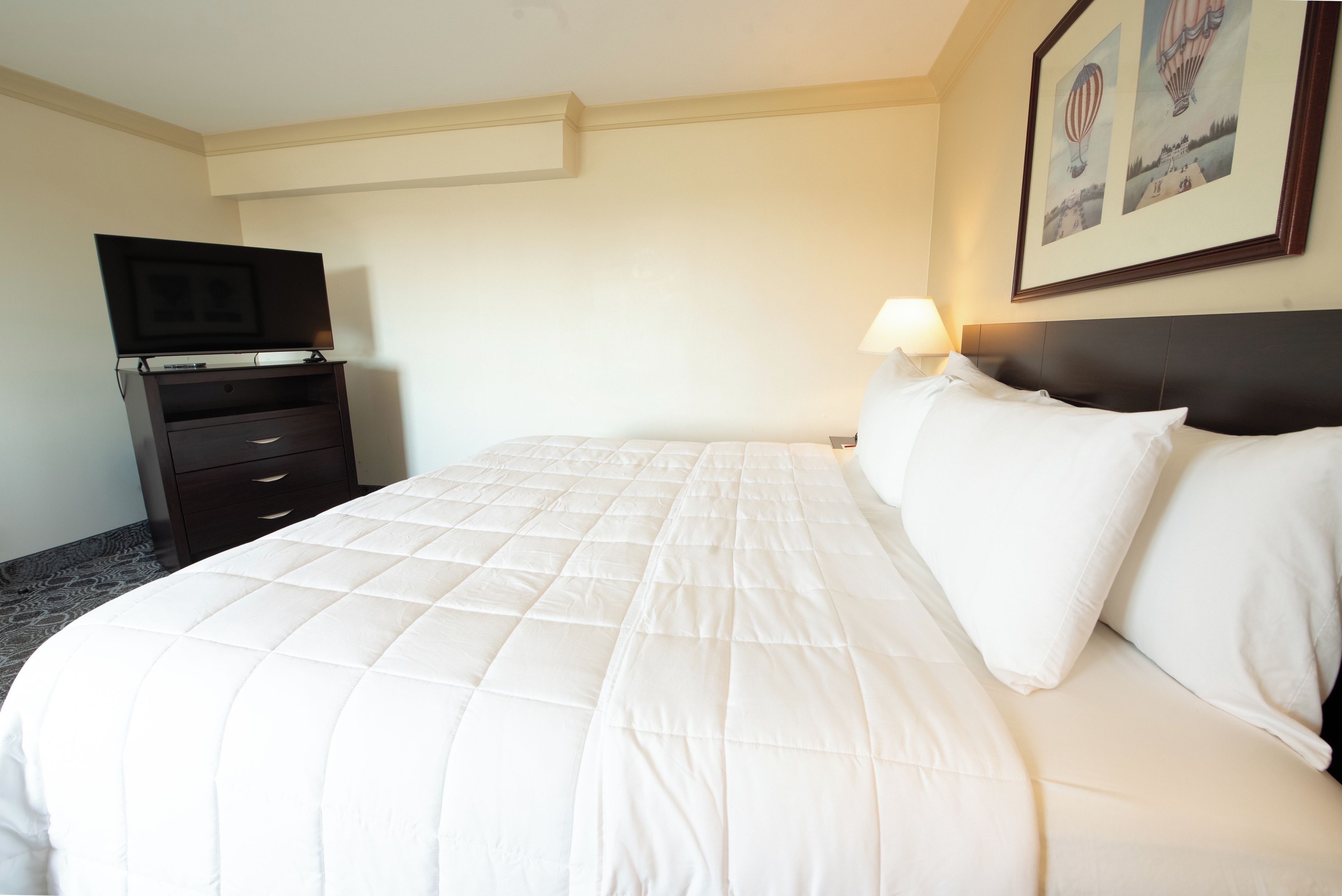 Una habitación de hotel con cama, televisión sobre un mueble, mesita de noche y lámpara de pared.