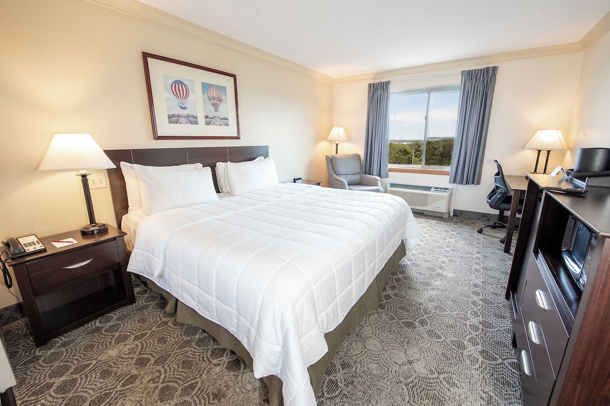 Standard Room, 1 King Bed | In-room safe, desk, blackout curtains, soundproofing