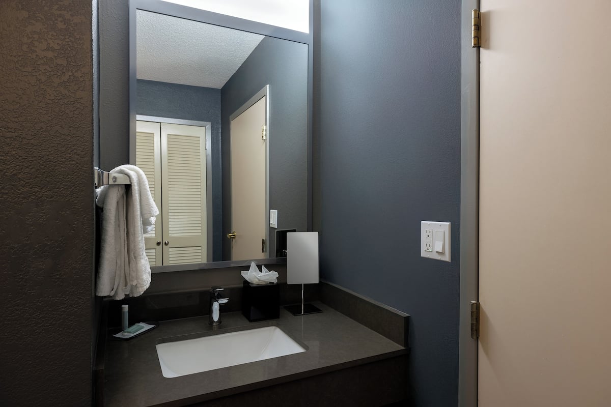 free toiletries, hair dryer, towels, soap