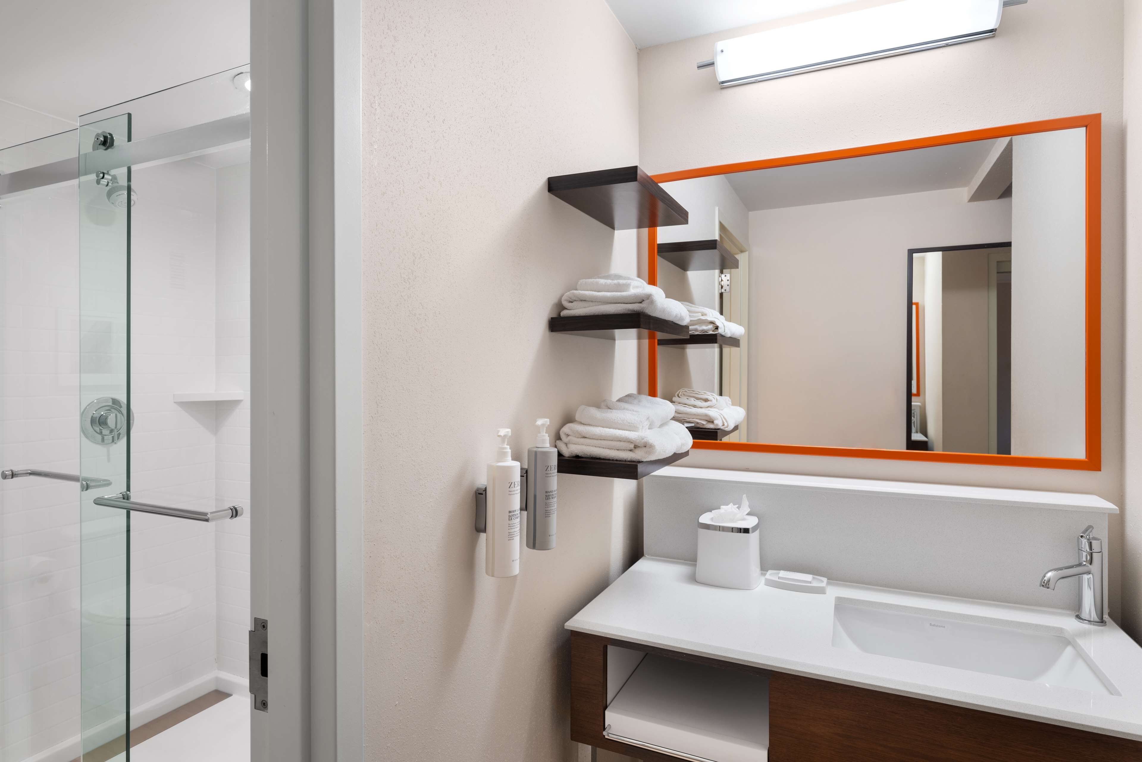 1 bedroom suite, king bed with sofa bed, non smoking, kitchen | bathroom shower