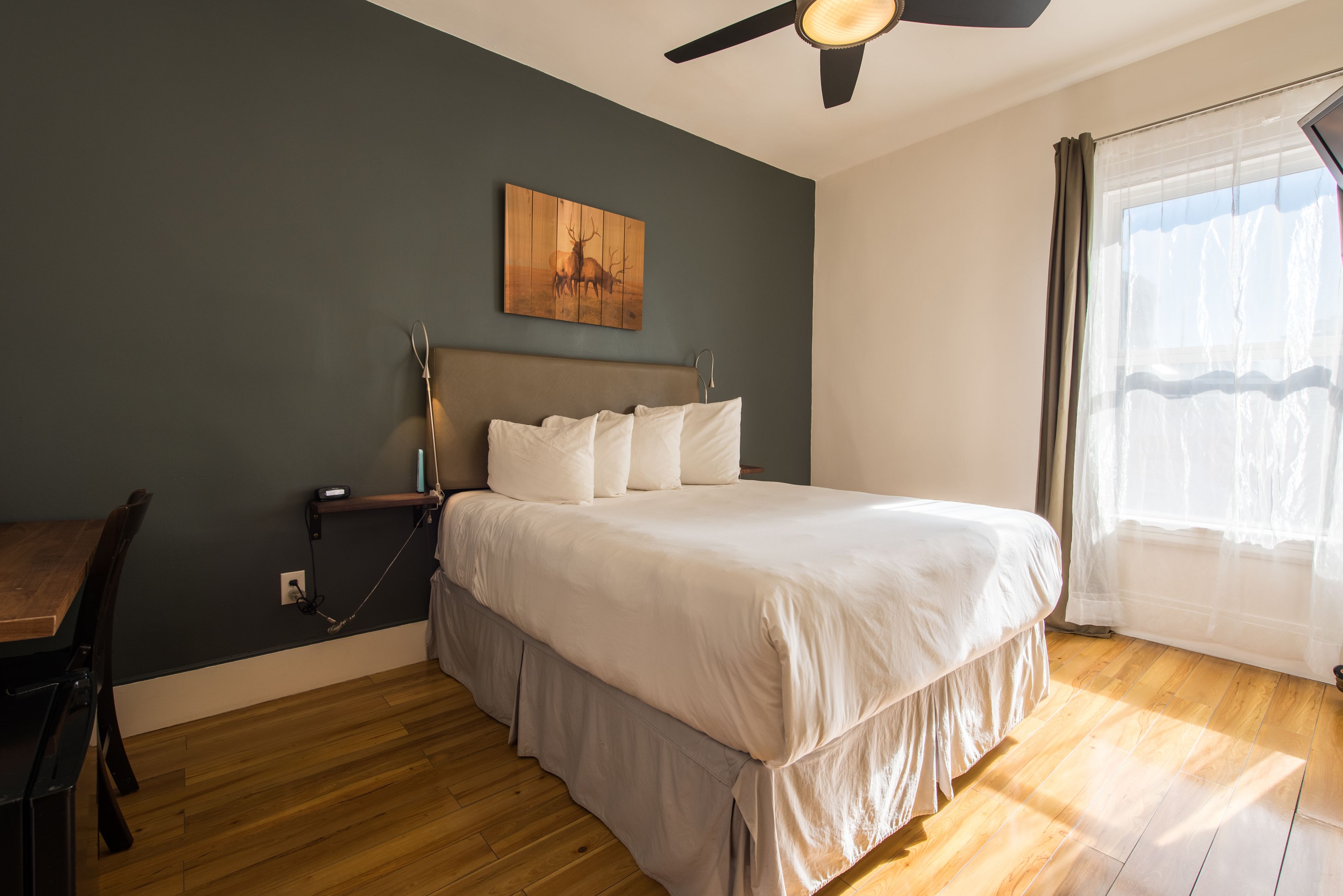 Foto - Herbert Hotel