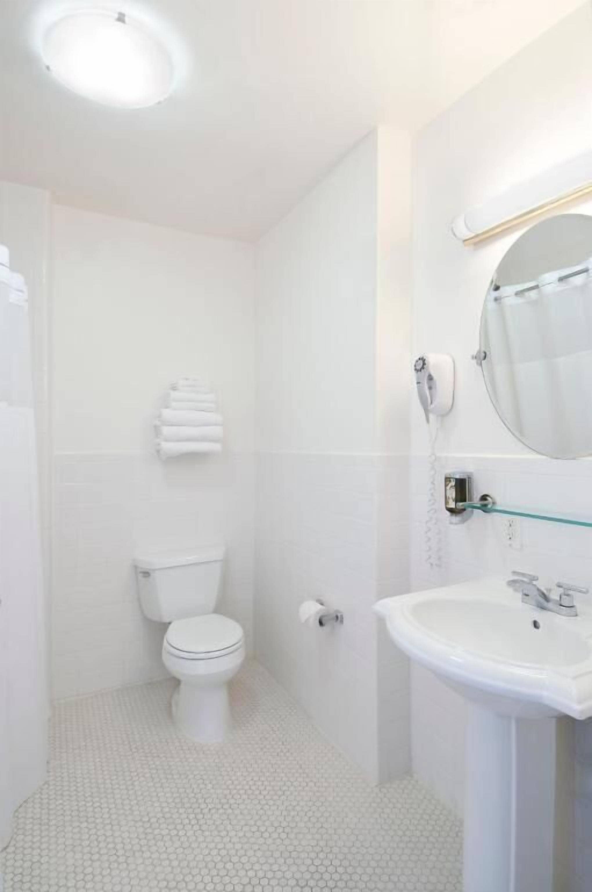 Foto - Herbert Hotel