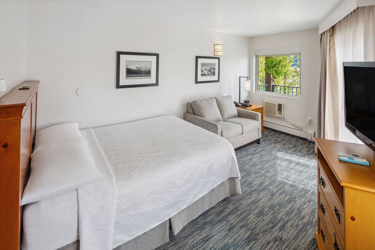 Une chambre d’hôtel avec un lit, un canapé, une télévision, un bureau et une fenêtre donnant sur des arbres.