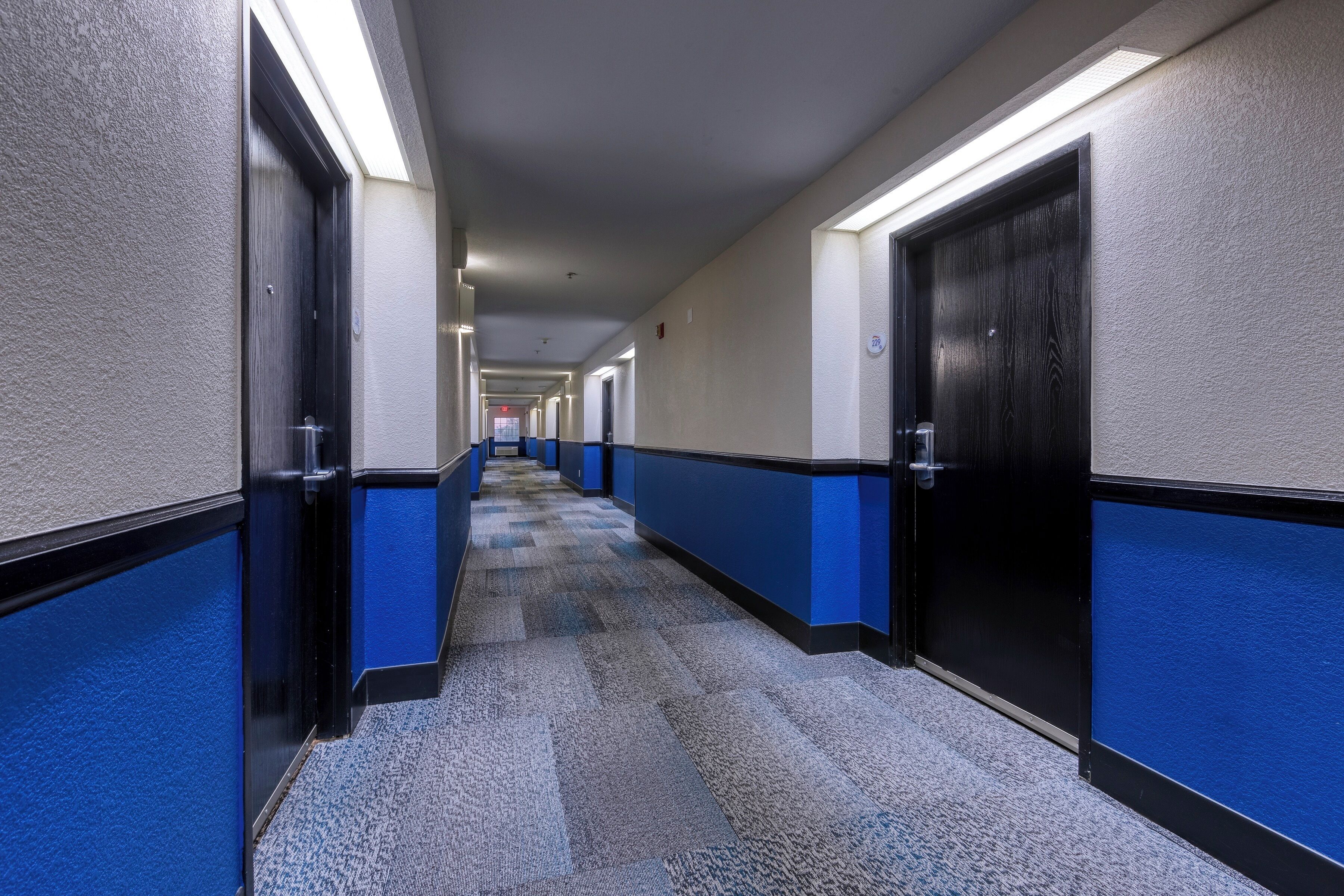 A hotel hallway with blue and white walls, carpeted floors, and doors on both sides.