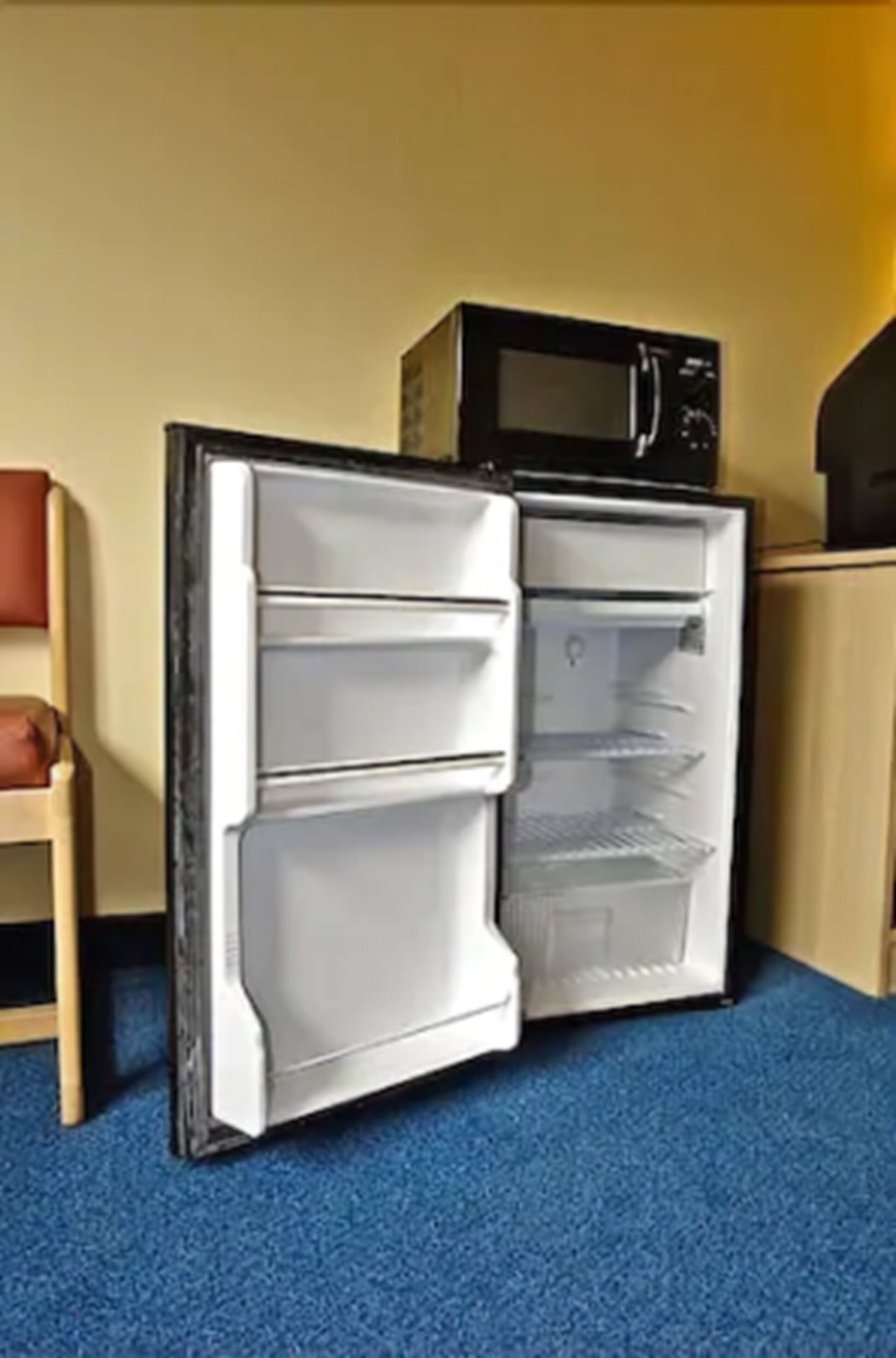 Mini-refrigerator