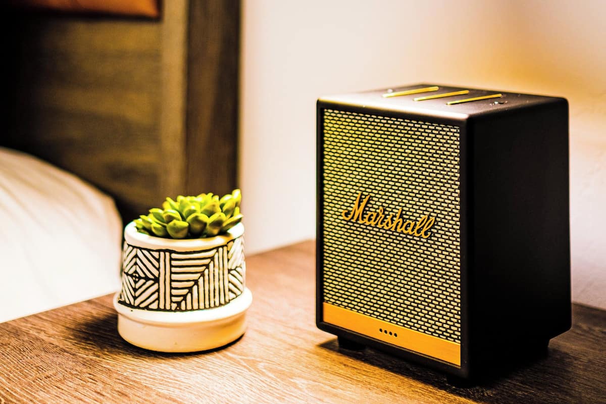 A black desk lamp, a small potted succulent, and a Marshall speaker on a wooden surface.