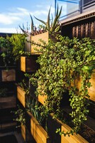 Aðstaða á gististað