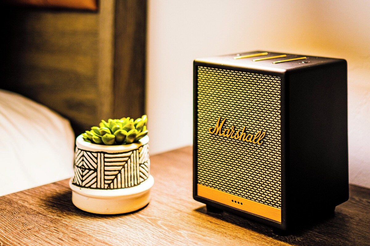 A black desk lamp, a small potted succulent, and a Marshall speaker on a wooden surface.