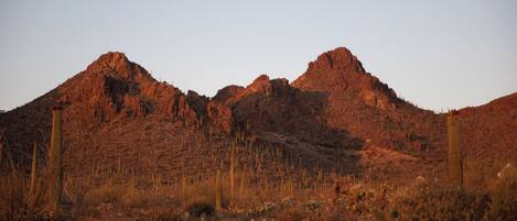 A desert landscape with rocky mountains and sparse vegetation.