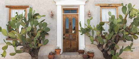Un bâtiment avec une porte en bois, deux fenêtres avec des rideaux et deux grands cactus en pot.