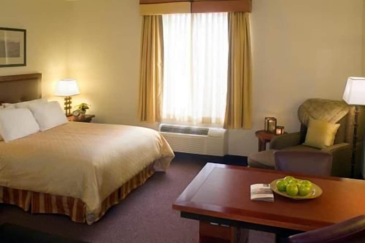 A hotel room with a bed, a desk with a plate of apples, a chair, a lamp, and a window with curtains.