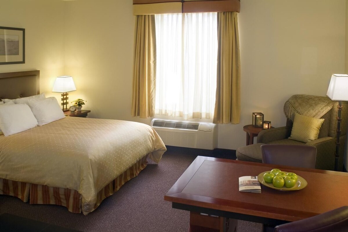 A hotel room with a bed, a table with a plate of apples, a chair, a lamp, and a window with curtains.