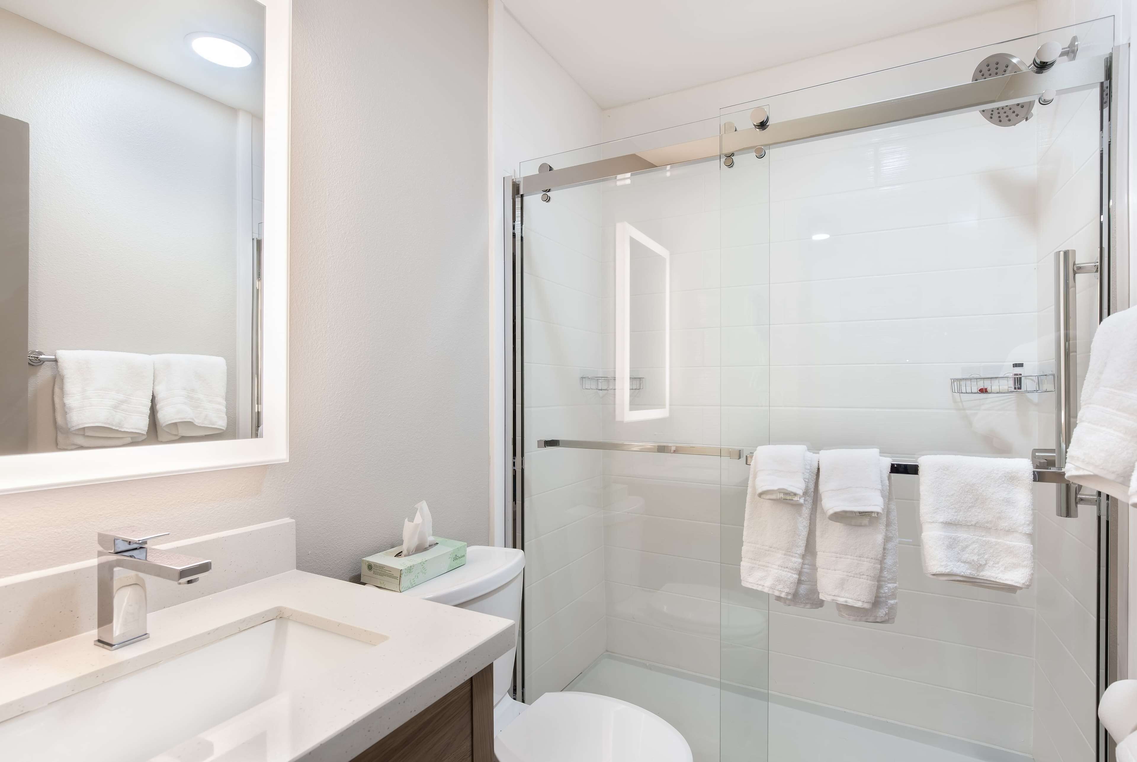 combined shower/bathtub, hair dryer, towels