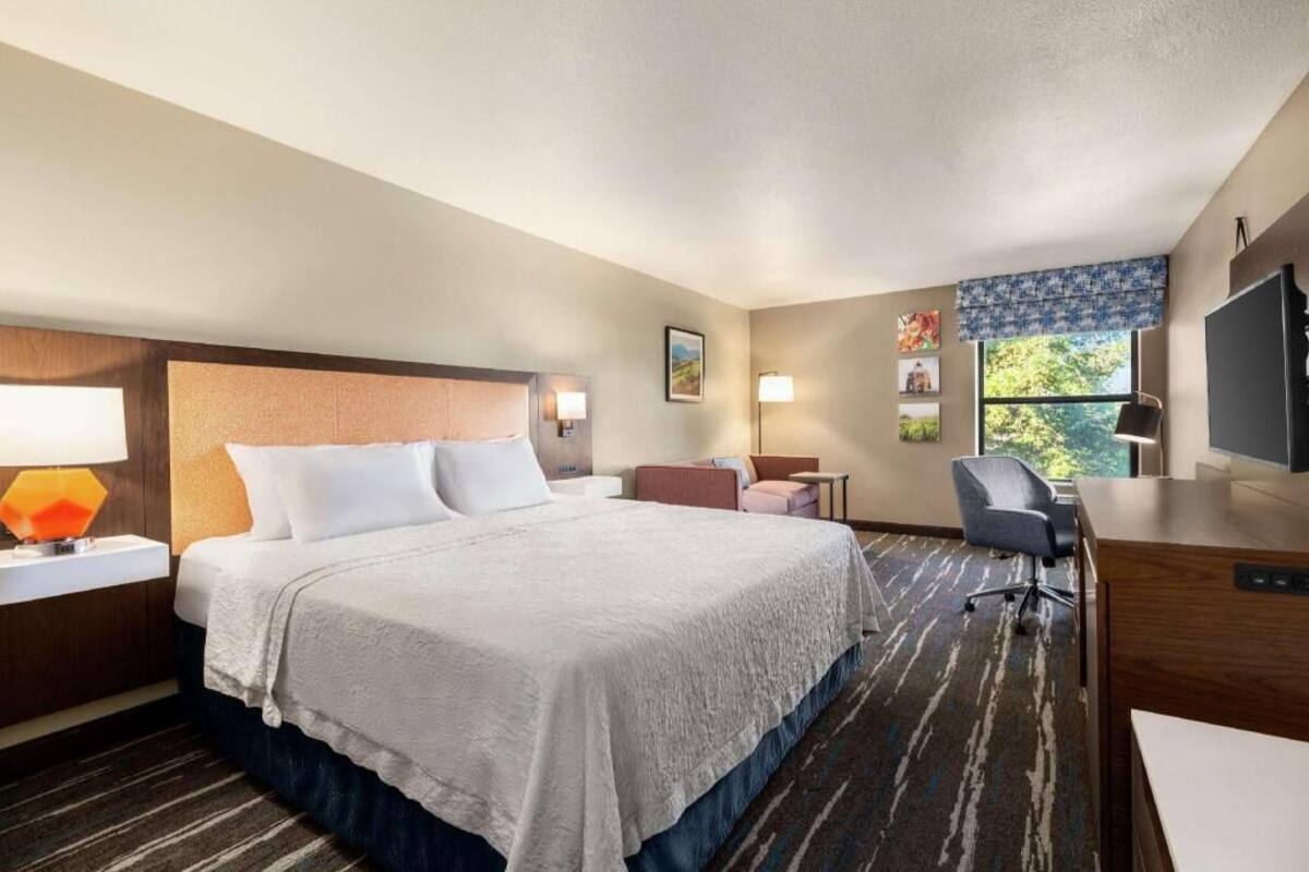 A hotel room with a bed, desk, chair, TV, and artwork on the walls.
