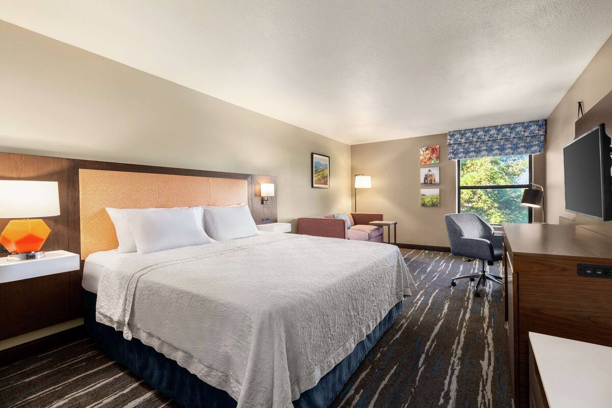 A hotel room with a large bed, a desk, a chair, and a TV.