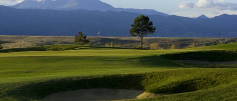 Camp de golf amb un arbre solitari, búnquers de sorra i muntanyes al fons.