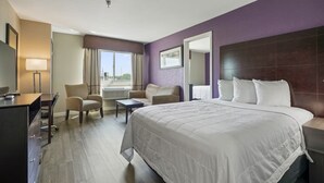 A hotel room with a large bed, a desk with a chair, a sofa, and a view of the outdoors.