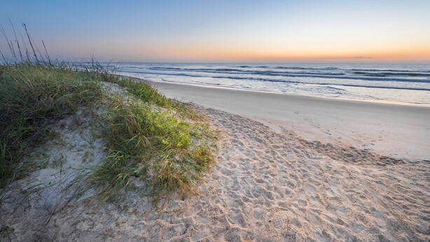 Une plage de sable avec quelques touffes d’herbe, qui descend vers l’océan.