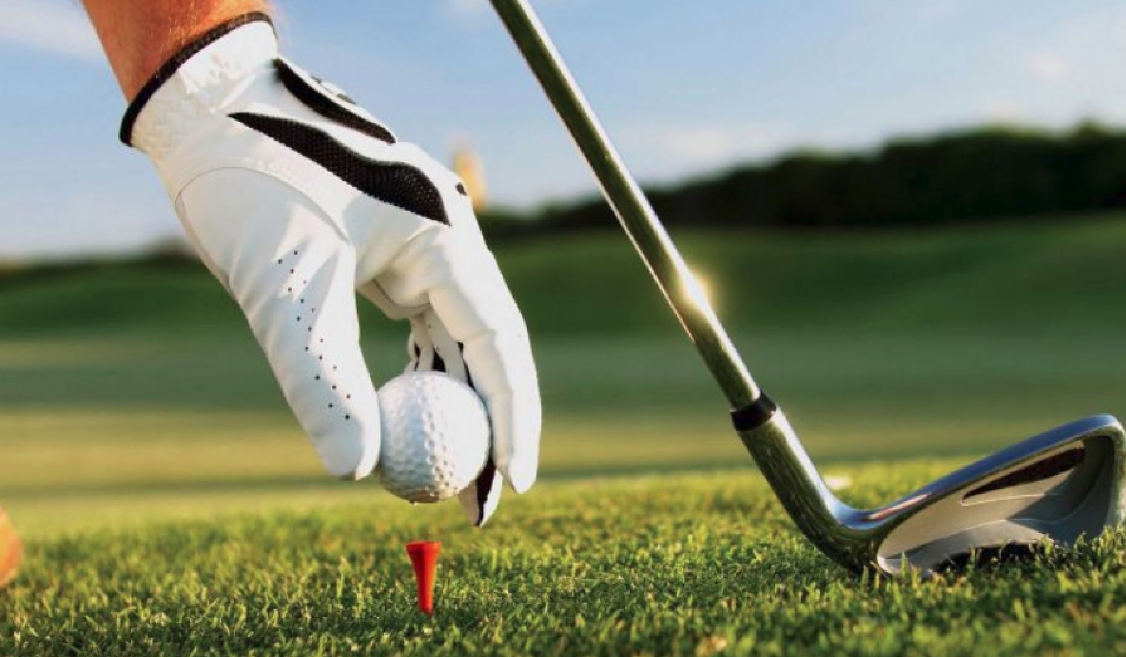 Photo - Holiday Inn - St Augustine - World Golf by IHG