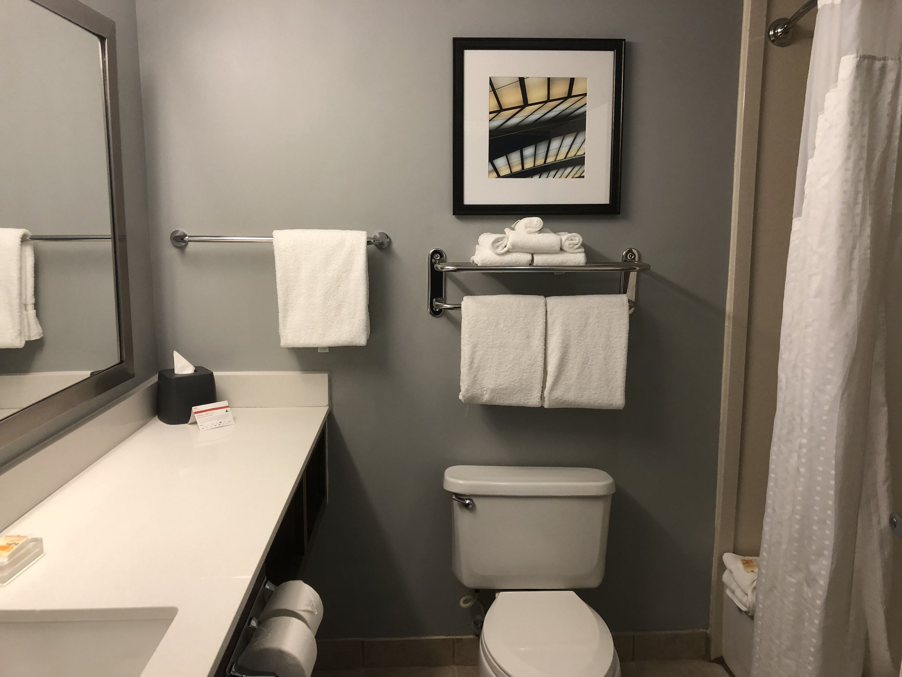 A modern bathroom with a toilet, a towel rack, a framed picture, and a towel dispenser.