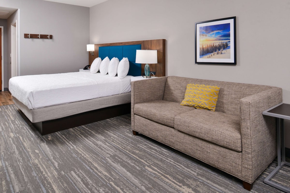 Una habitación de hotel con una cama, un sofá, un cuadro enmarcado en la pared y una lámpara.