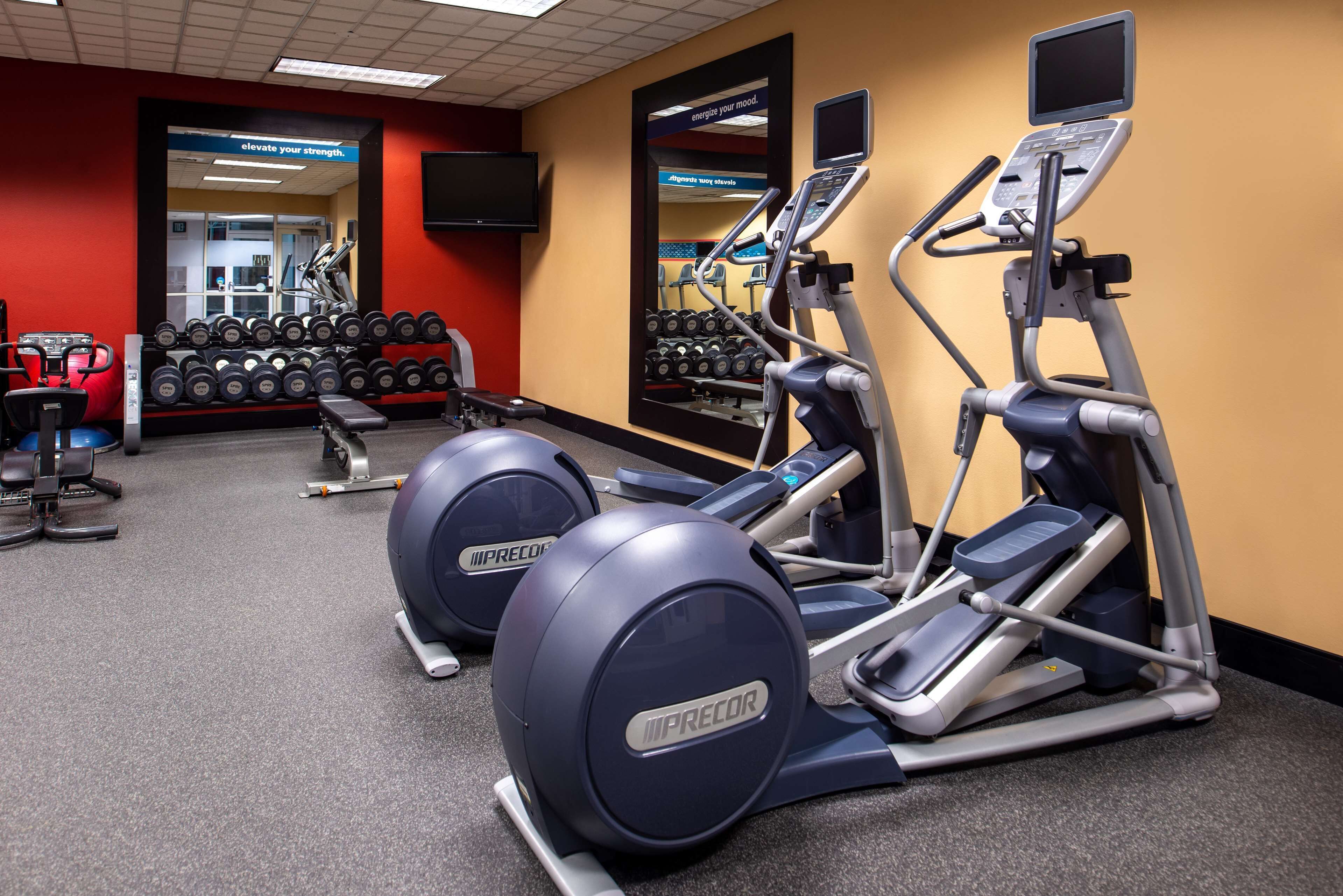 A gym with treadmills, elliptical machines, and a bench.