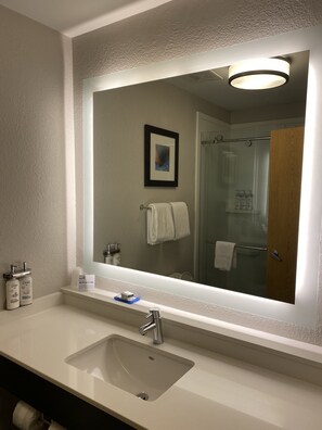 Suite, 1 King Bed | Bathroom sink - Holiday Inn Express Metropolis by IHG (Metropolis)