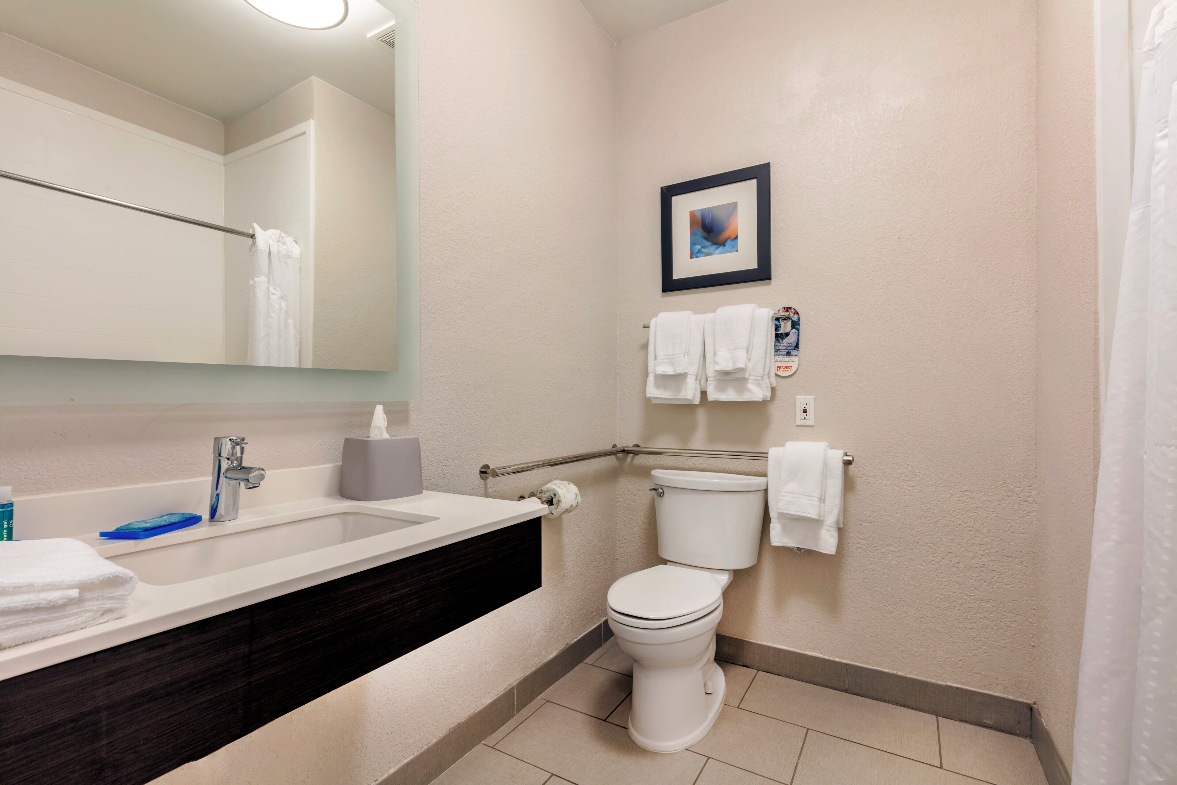 Une salle de bain équipée d’un lavabo, de toilettes et de barres d’appui.