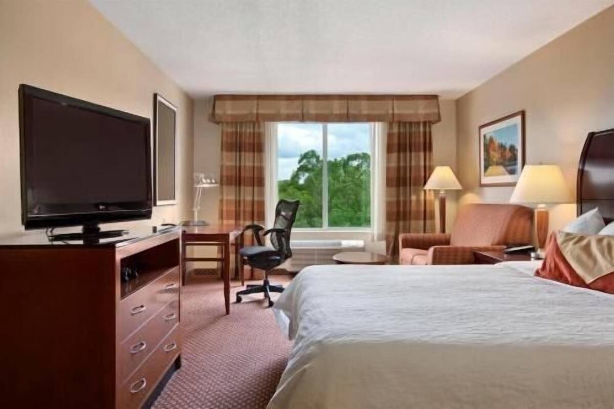 A hotel room with a bed, a desk with a TV, a chair, a lamp, and a window with a view of trees.