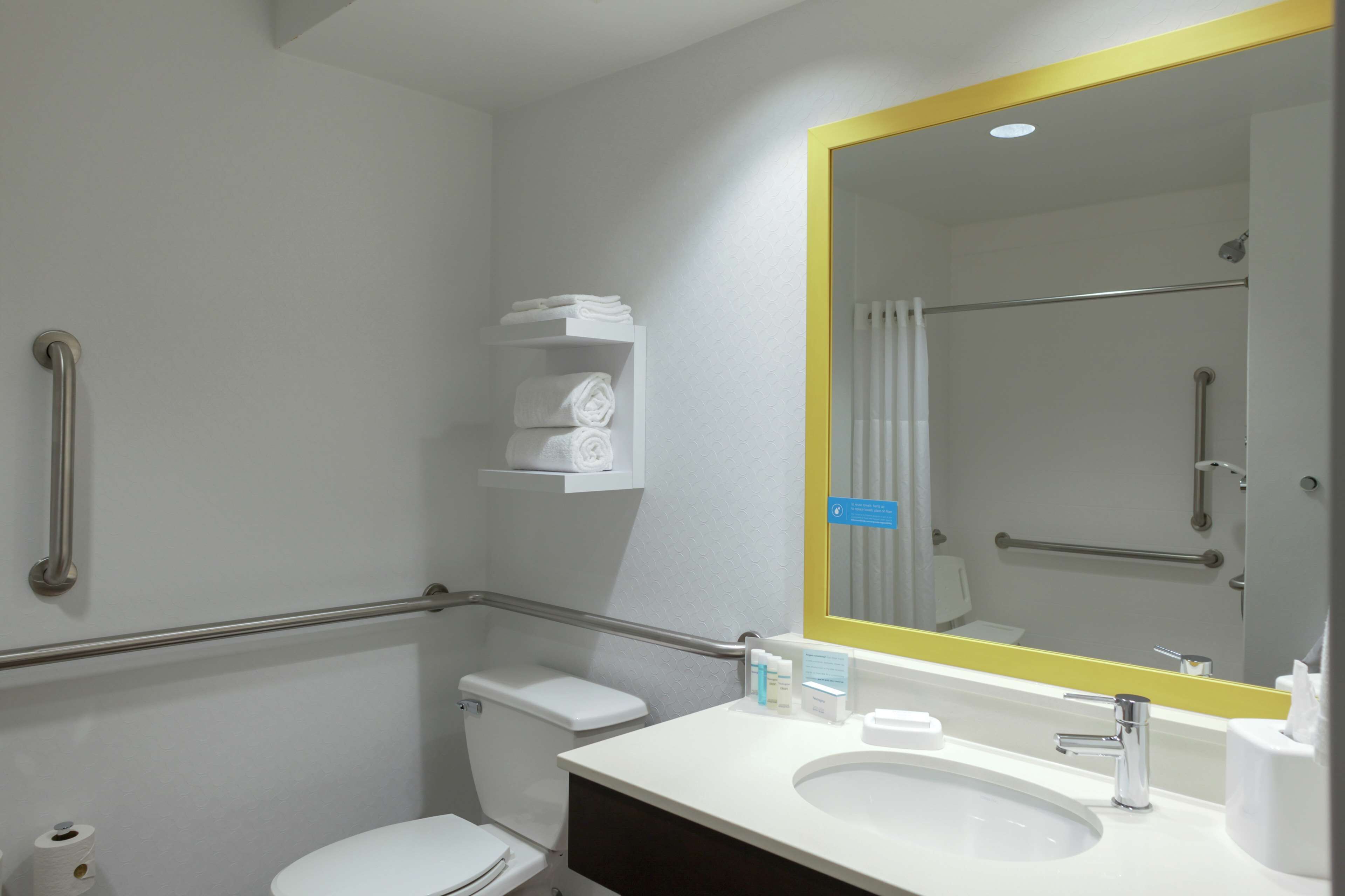 room, 1 king bed, accessible (roll-in shower) | bathroom shower