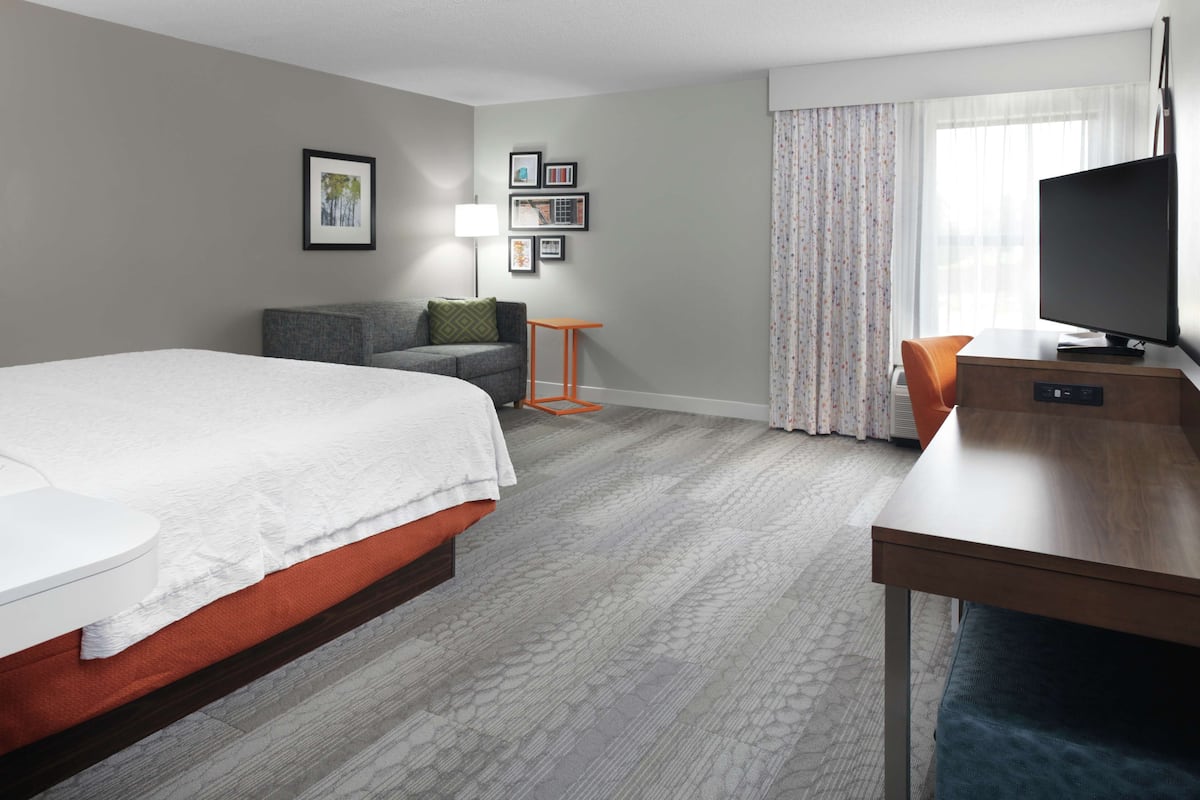 Studio, 1 King Bed with Sofa bed, Non Smoking | Living area | 42-inch LED TV with cable channels, TV