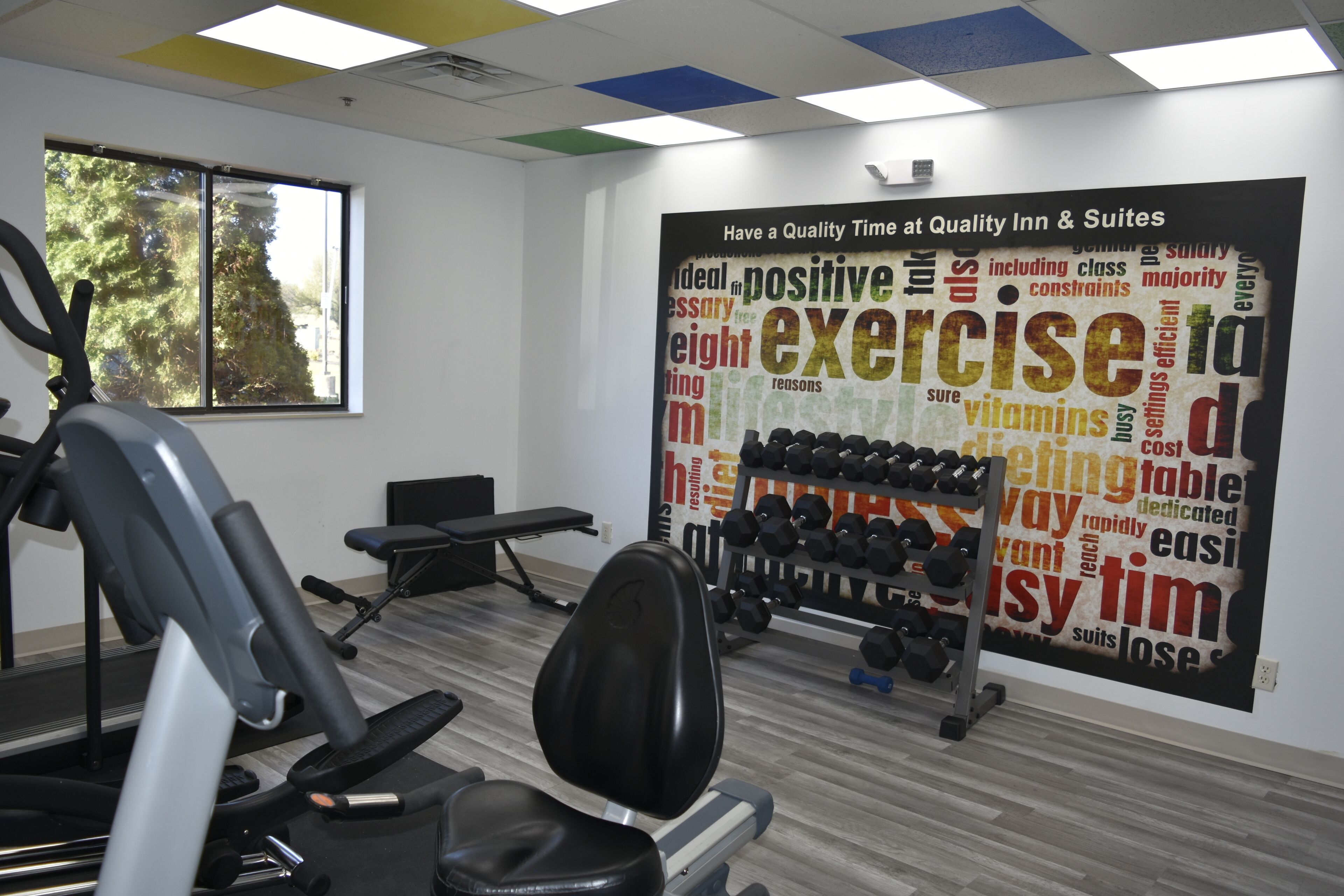 Une salle de sport équipée de matériel d’exercice, un mur orné de citations motivantes et une fenêtre donnant sur un paysage arboré.