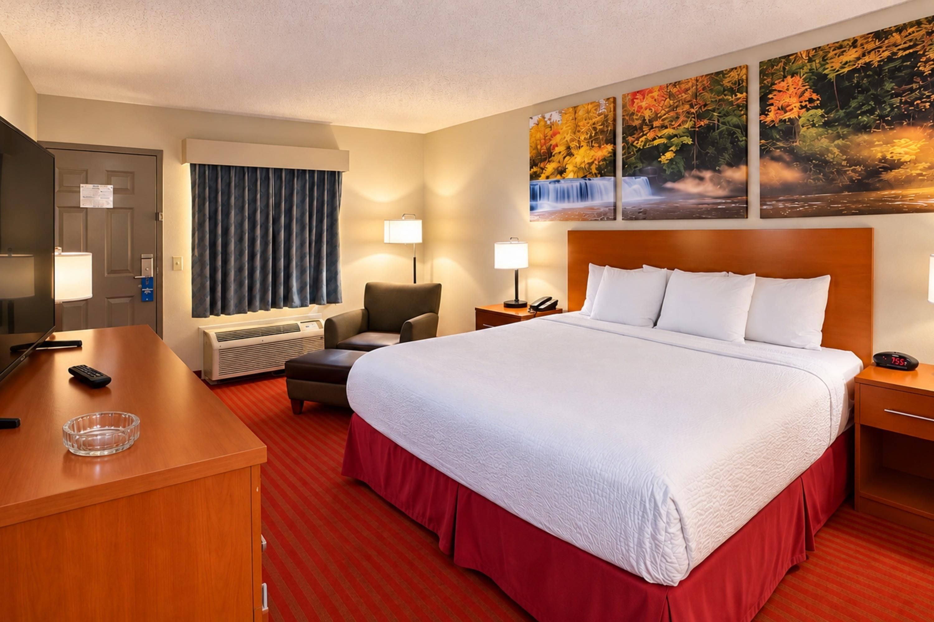 Une chambre d’hôtel comprenant un lit, un bureau, une chaise, une table de chevet, une lampe, un téléviseur fixé au mur et un tableau représentant une cascade.