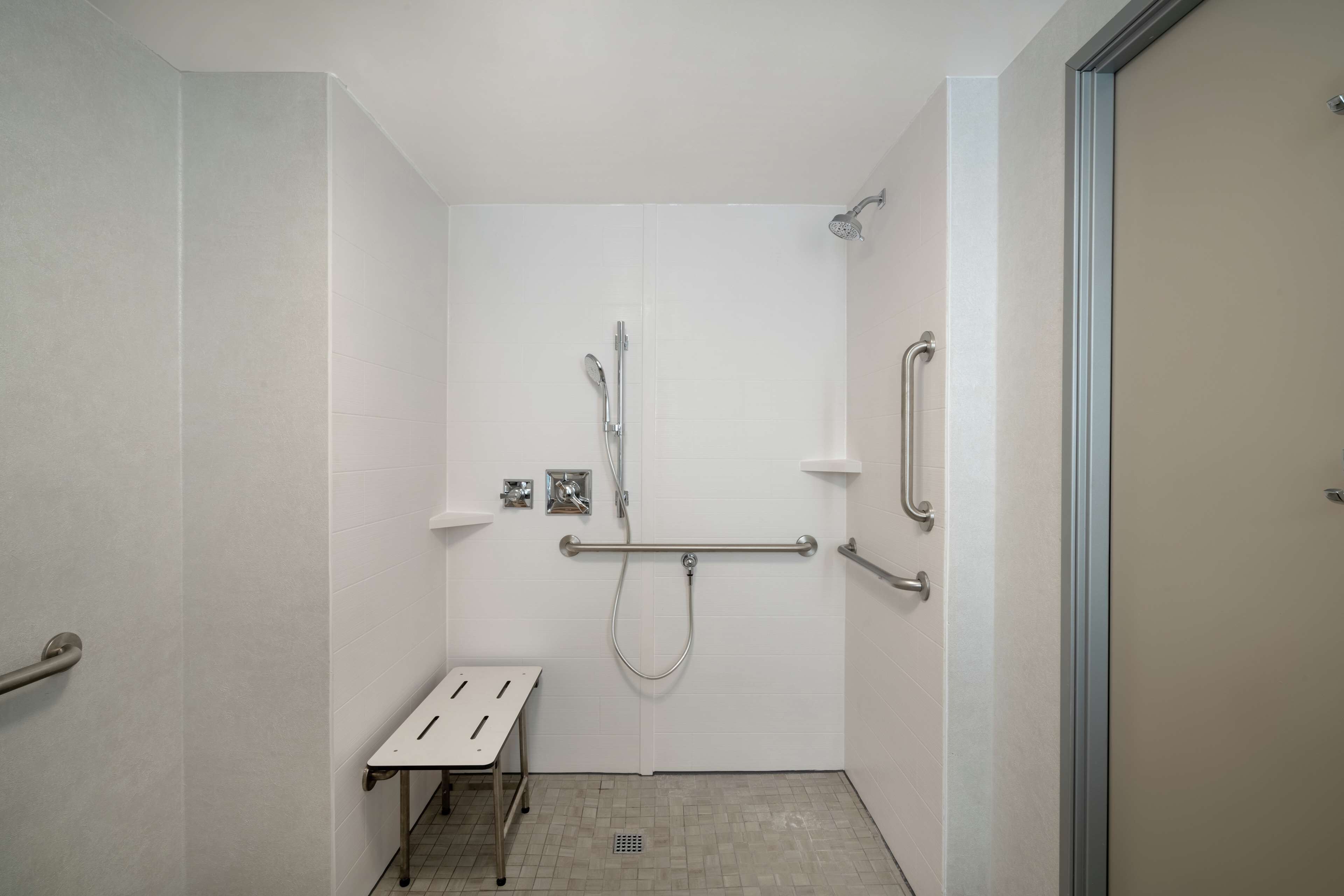 room, 1 king bed, accessible (roll-in shower, mobility & hearing) | bathroom shower