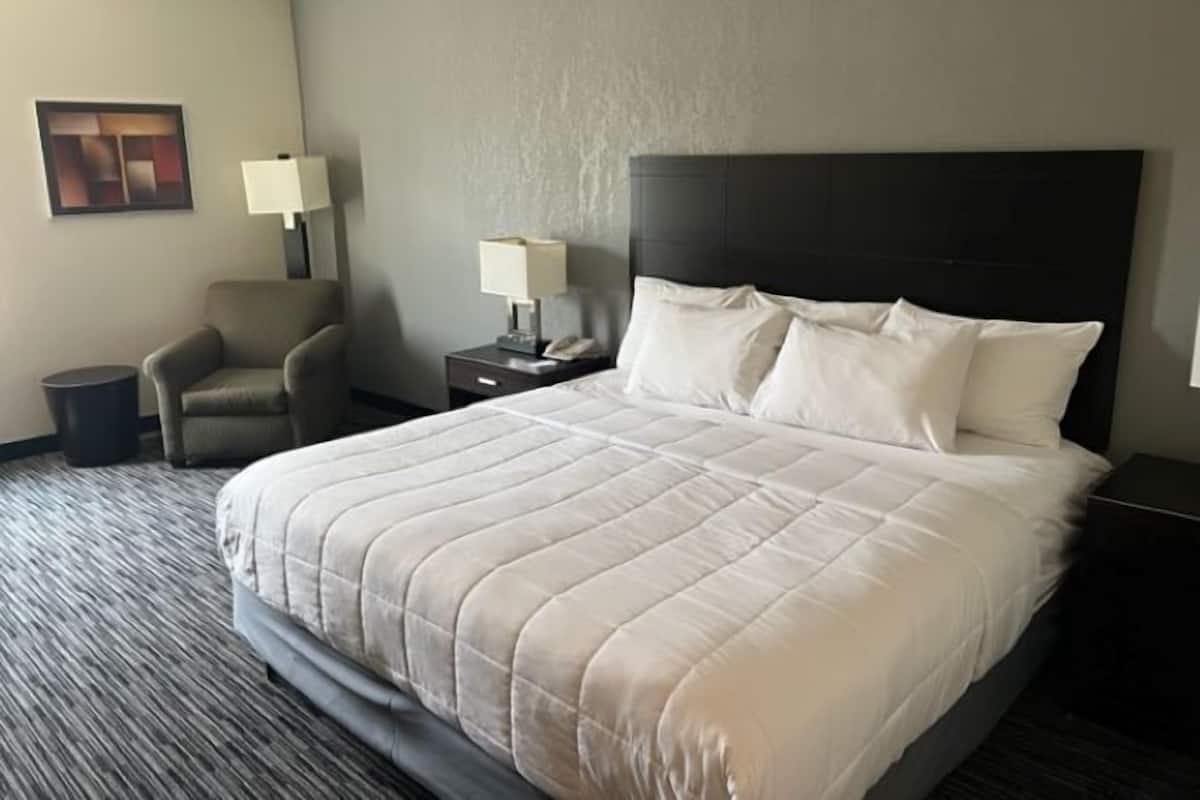 A hotel room with a large bed, a chair, a nightstand with a lamp, and a trash bin.