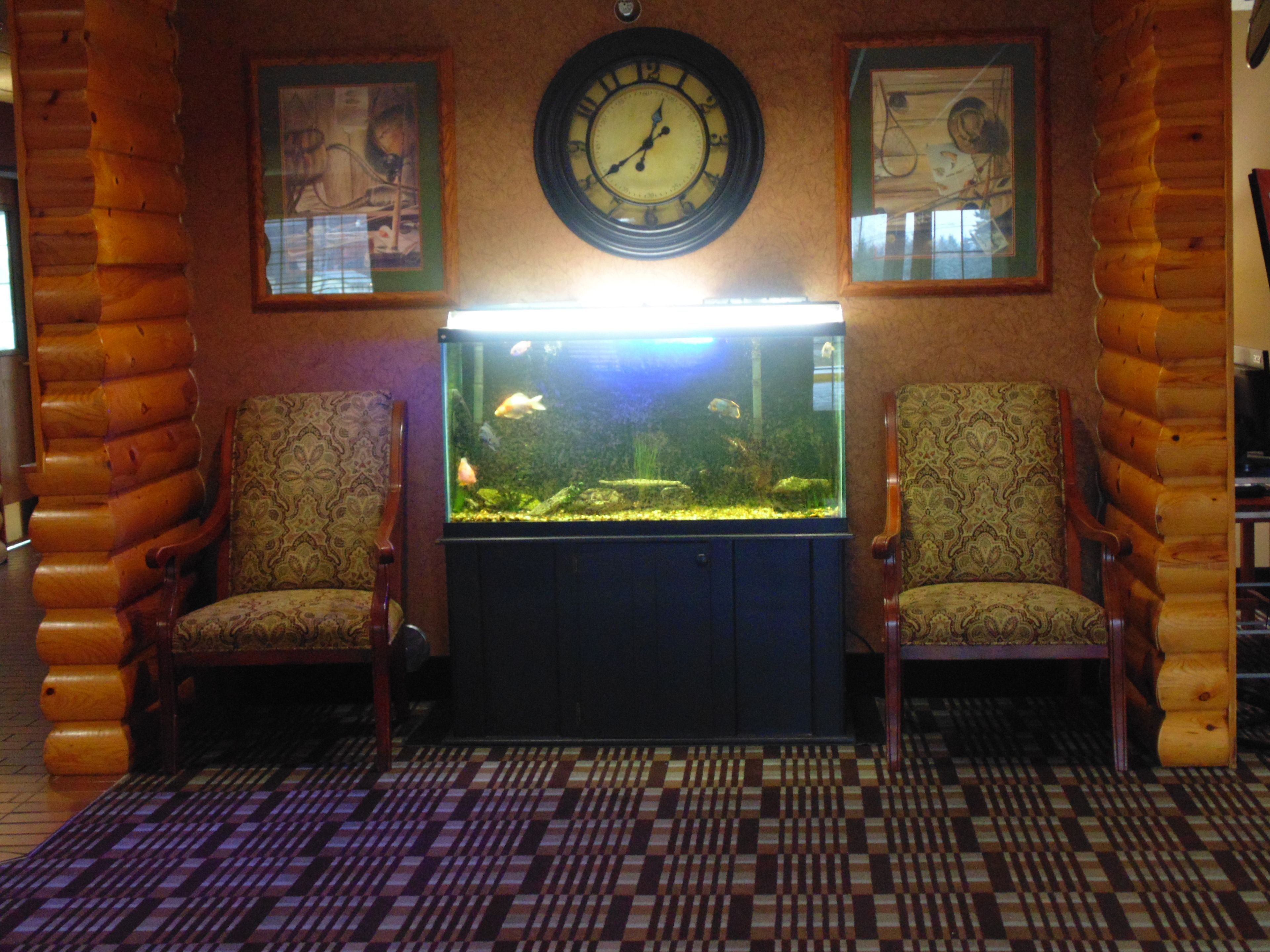 A room with two wooden chairs, a fish tank, a clock, and framed pictures on the wall.