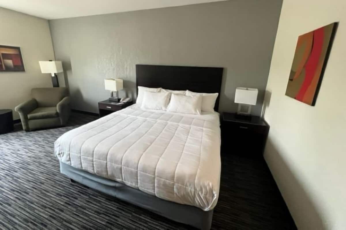 A hotel room with a large bed, a chair, two bedside tables with lamps, and a painting on the wall.