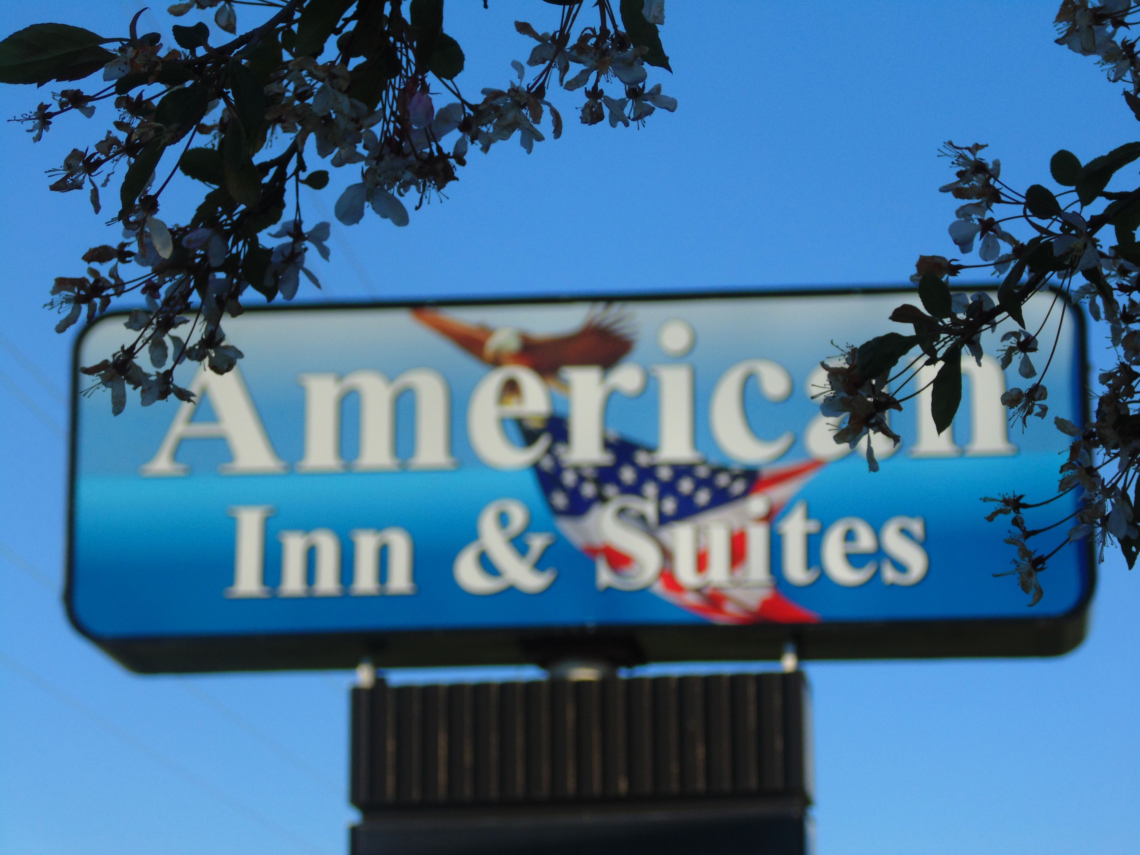 A sign for American Inn & Suites with a bird and American flag design.